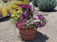 La Junta Colorado Cabins Hotels in La Junta