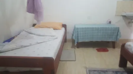 Golden Monkey Guest House