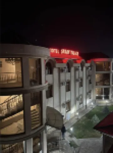 Saroy Palace Hotel Hotels in 