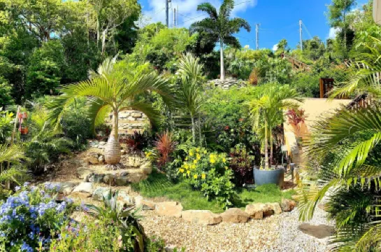 Coral Bay Suite Ocean and Tropical Island Views Hotels in 