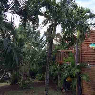 T3 Montana 2, DESHAIES, 350 m Grande Anse, 5/7 people, 2 bedrooms + living room, terrace. Hotel Exterior