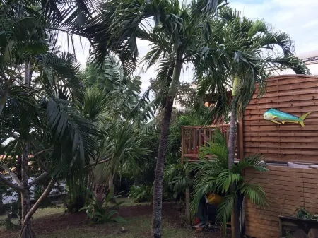 T3 Montana 2, DESHAIES, 350 m Grande Anse, 5/7 people, 2 bedrooms + living room, terrace. Отели рядом с достопримечательностью «Deshaies»