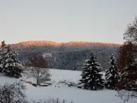 Silver Star Road Suites - Detached Two Bedroom Suite