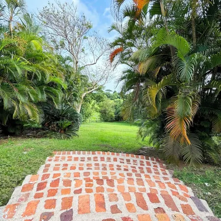 Relaxing oasis w/ pool, nature walks, calm vibes