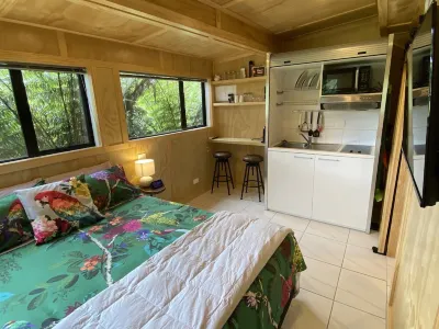 Bush Edge Studio Hotels near Whangamata Beach