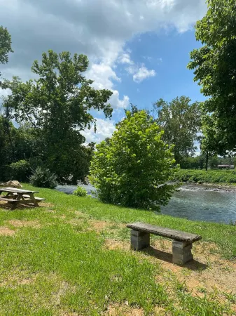 Relaxing waterfront cabin with a loft!