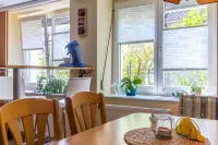 Pure nature at the Limes: Andrea's cozy apartment for 4 people