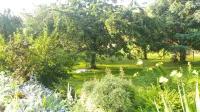 Gîte le Clos D'olon 2/4 Personnes Classé 4 Étoiles à 7km de Voiron Charnecles 호텔