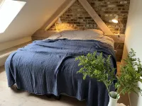 Comfortable guest house with sauna, Nordic bath and natural swimming pool. Hotel a Heuvelland