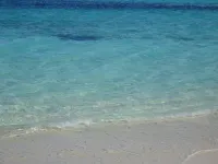 Cozy, new, beach cottage with a spectacular ocean view - Point of View Hotels in Rolleville
