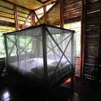 Casa Piña,  Bamboo Rainforest Beach House Rooms