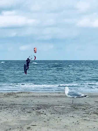 Gemütliches Ferienhaus für 4 Personen und Haustier
