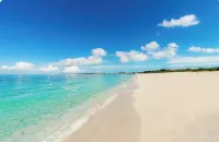 " Tradewinds" Updated Luxury Condo-Turtle Cove- 5 Minute Walk to Beach