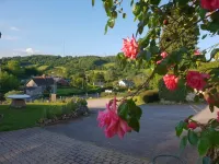 Home Farm Hotel - Pet friendly