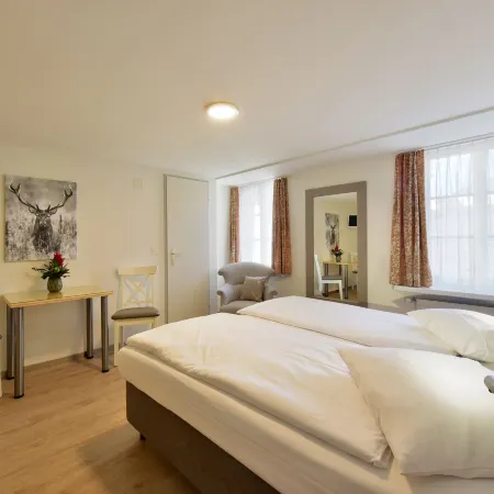 Hotel Hirschen Отели рядом с достопримечательностью «Кабаре Вольтер»