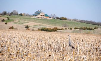 Comstock Premier Lodge LLC