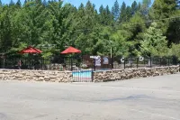 Mother Lode Motel Hotels in Placerville