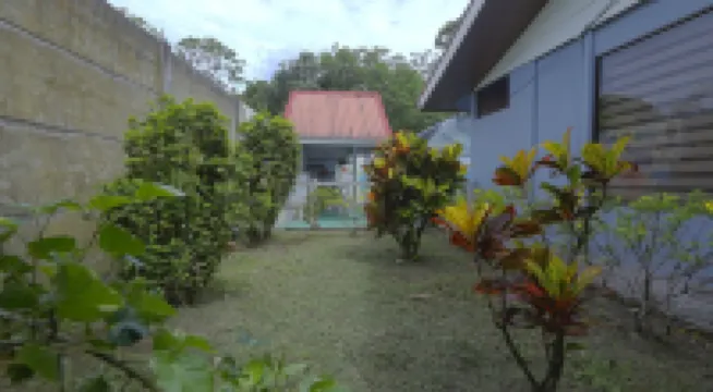 Aparatamentos Arenal Ranas y Ranitas