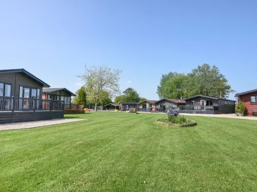 Oakwood 2 @ Pinewood Retreat Hotels in Combpyne Rousdon