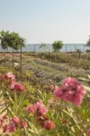 Metamare Hotels in Mola di Bari