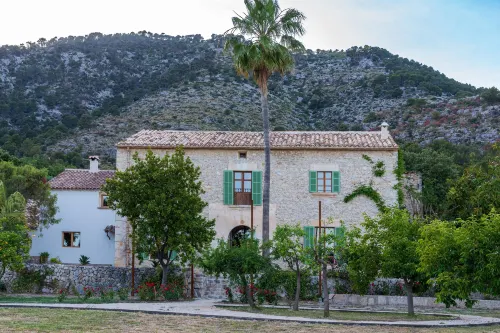 Agroturisme Subies - Boutique