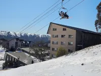 Alpine View Apartments