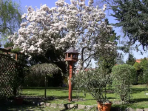 Hotel Garni Schlossgarten Hotels in Neustrelitz