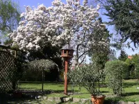 Hotel Garni Schlossgarten Hotels in Granzow