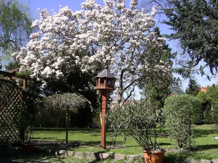 Hotel Garni Schlossgarten Отели в г. Блуменхольц