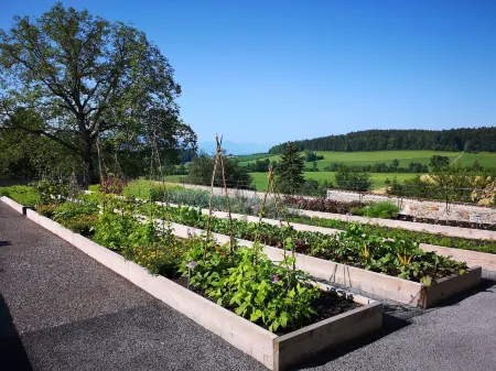 Kloster Kappel Отели в г. Хорген