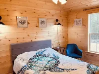 Green Cabin in Surry close to Acadia and Bar Harbor Hotels in Surry