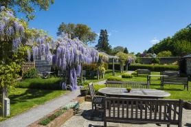 더 레드 라이언 힝스턴