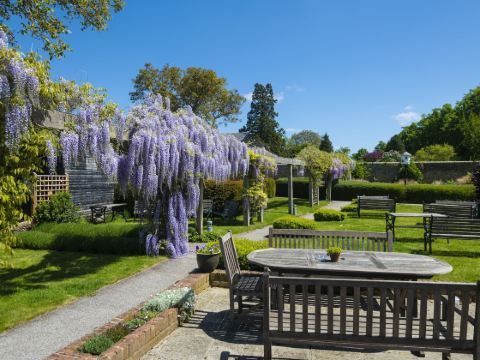 The Red Lion Hinxton