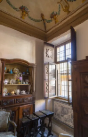 Bed & Breakfast Palazzo Sismonda - Bed and Breakfasts