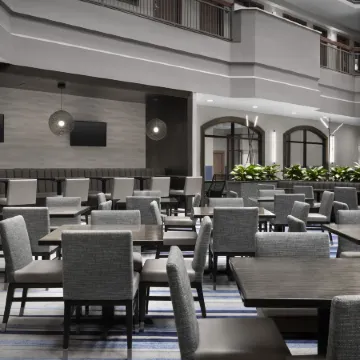 Embassy Suites by Hilton Dallas Near the Galleria