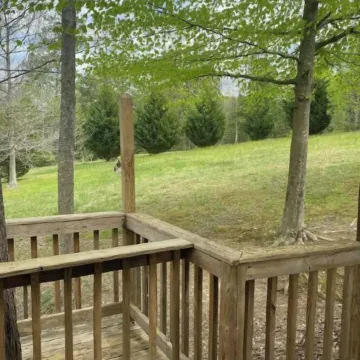 The Peaceful Pine Cabin