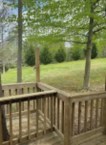 The Peaceful Pine Cabin