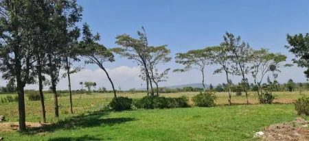 Le Tai Village Homestay Отели в г. Ньери