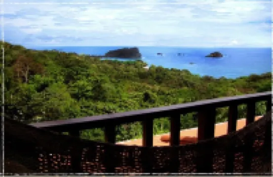 Gorgeous Views of Pacific and Rainforest