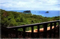 Gorgeous Views of Pacific and Rainforest