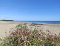 Flip-Flops Apartment Jurmala with free parking