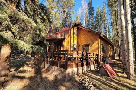 Charming 3 bedroom cabin in the White Mountains, Tal Wi Wi/Alpine with WIFI