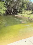 The Most Peaceful Hill Country Cabin with Swimming Hole, Firepit,  & Pool Table