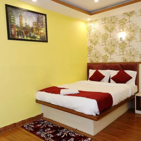 Hotel Shree Mani Residency