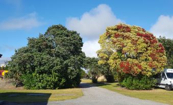 Carters Beach Top 10 Holiday Park