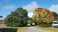 Carters Beach Top 10 Holiday Park Hotels in 