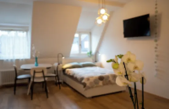 Talvera Dream - City Center, Rooftop, Garage & Jacuzzi