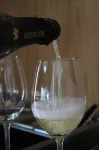Das Kaya Hotel Stuttgart Airport Messe - Baarit