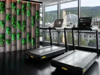 Pullman Tbilisi Axis Towers - Kuntosalit