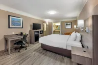 Quality Inn Marble Falls Hotels in Marble Falls